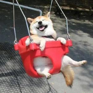 躲避烈日的