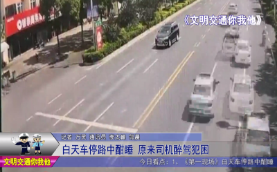 白天车停路中酣睡   原来司机醉驾犯困
