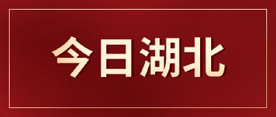 武汉市人大常委会原副主任孙应征接受审查调查 