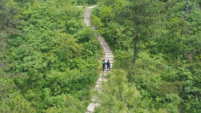 孝昌丨叶双平：发展桃产业 带领村民走上致富路
