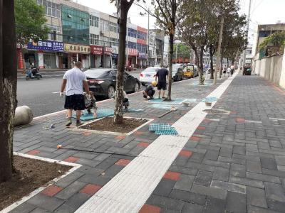 孝昌|绿化设施维修 提升城区景观效果