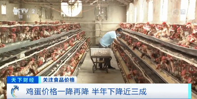 又降了！鸡蛋价格比年初下降近三成！