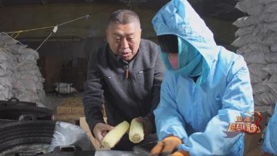 《加油！脱贫攻坚》第二十二集《致富不忘桑梓情》