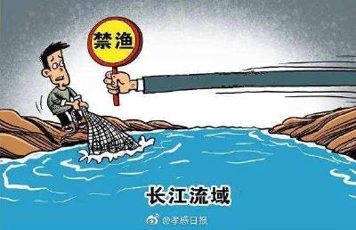 孝感市启动打击长江流域非法捕捞专项行动