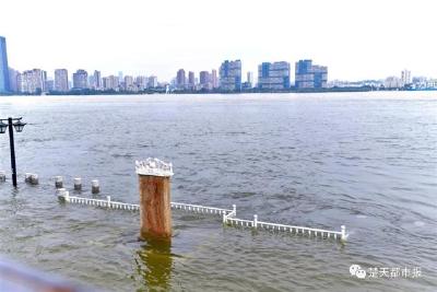 长江委：预计7月23日武汉关退出警戒水位