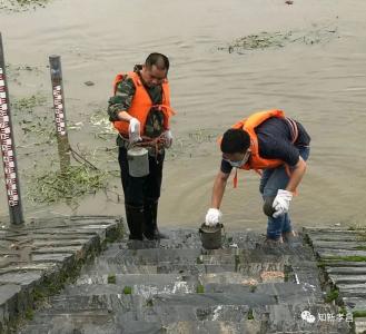 孝昌丨最“老”监测站，不老抗洪心！