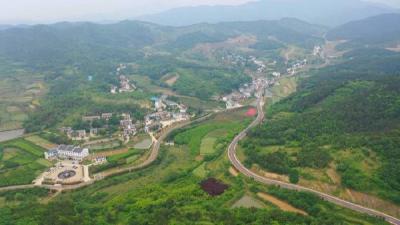 孝昌:全面推行路长制 创建农旅融合示范路记