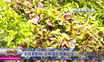 多因素影响 近期菜价普遍上涨