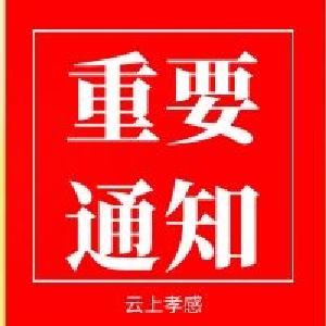 七部门：鼓励国企等单位扩大见习规模   提高质量促就业