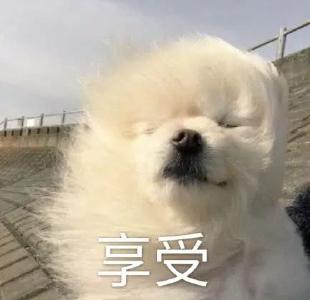 就在明天，终于要结束了！