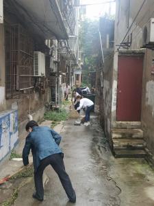 市供销社机关开展“迎国庆、洁家园”环境卫生整治专项行动