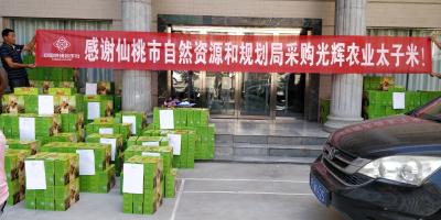 孝昌县供销社：消费扶贫“脉冲波”，大米订单创新高