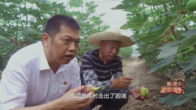 《加油！脱贫攻坚》第三十集《脱贫路上的“善港号”》