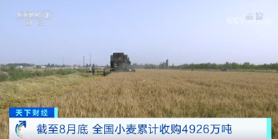 国家发话了！绝对安全！