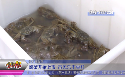 螃蟹开始上市 市民乐于尝鲜