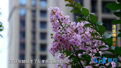 2020年9月12日《与法同行》