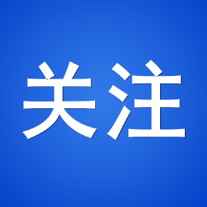 孝感召开“两代表一委员”座谈会听取平安建设工作意见建议