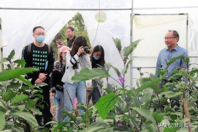 挖掘经验典型 讲好脱贫故事 四级媒体走进孝感脱贫村集中采访