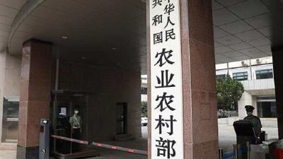 农业农村部：明年元旦、春节猪肉供应量同比将增加约3成