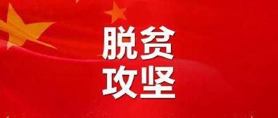 周先来在汉川扶贫联系点调研脱贫攻坚工作时强调 对标梳理排查 全力补齐短板