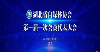 湖北省自媒体协会 第一届一次会员代表大会召开