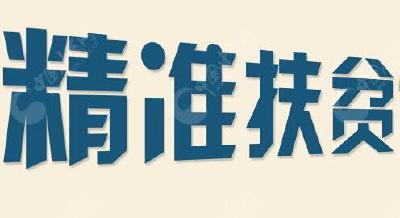 以企帮村 村企互动 汉川发挥民企力量助力精准扶贫