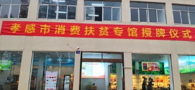 孝感市消费扶贫馆挂牌运营