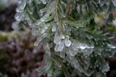 今天“大雪”！大雪随后就到，孝感的小伙伴要做好御寒准备