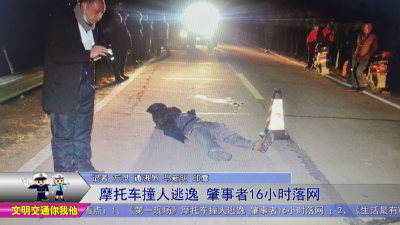 摩托车撞人逃逸   肇事者16小时落网	