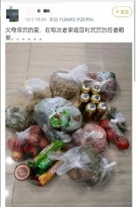 300斤活猪塞进后备厢，父母这份爱挺沉！