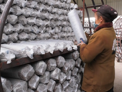 ​安陆：寒冬时节忙装袋 来年香菇好收成