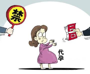 调查 | 记者揭秘代孕地下产业链