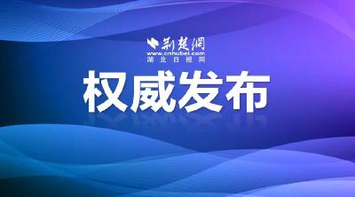 万勇当选为湖北省人大常委会副主任