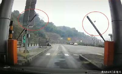 为什么倒霉的总是我？！小车四天内两次被同一ETC道杆砸中