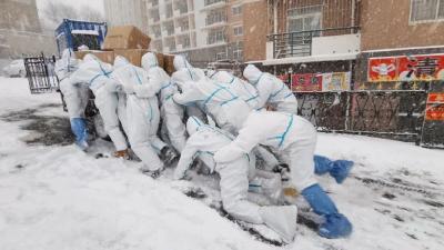 这17个人的名字查到了！