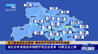 首次评选！孝感4家企业上榜！