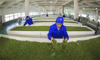 大悟巩固脱贫成果全面推进乡村振兴