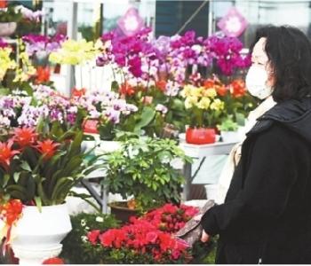 今日“立春”高温冲上18℃ 今年二月上旬将比往年更暖和