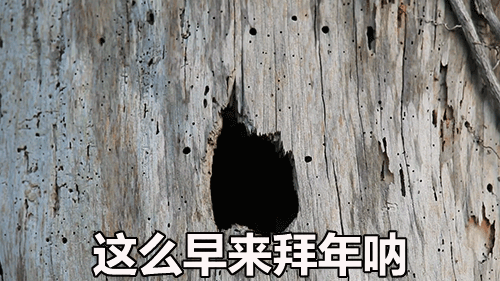 最高温20℃！真的？原来……