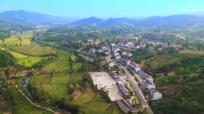 大悟：共建清洁家园 喜迎建党百年 倡议书