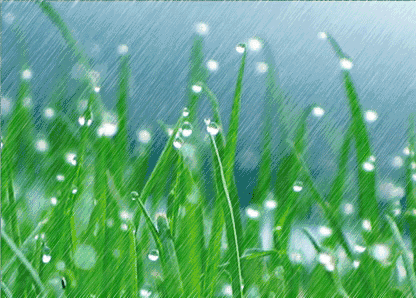 狂降10℃+降雨！孝感，冷空气要来了 ！