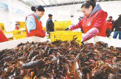 荆楚味道，香飘天下！这些湖北省农产品区域公用品牌，你都试过吗？