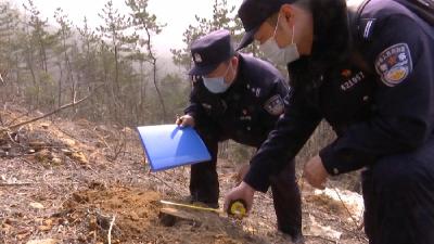孝感市森林公安局：当好法律宣传员 做好森林守护者