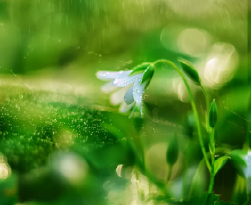 气温飙升至25℃！孝感接下来的天气太刺激了...
