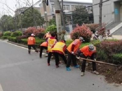 孝昌园林：开展城区绿化带垃圾清理专项整治活动