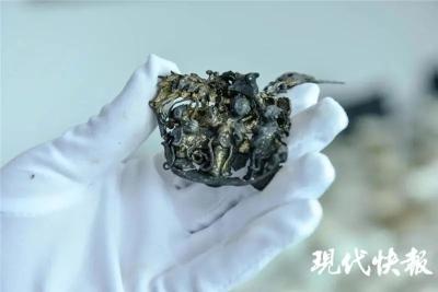 24人，3519件文物，现实版“摸金校尉”栽了！