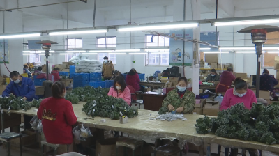 企业提供岗位 助力就近就业