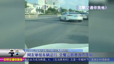 网友举报车辆逆行  交警立即查办不手软