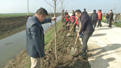义务植树掀高潮 汉川今年将人工增林1.3万亩