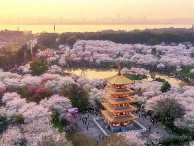 春暖花开，请查收这份来自武汉的邀请！